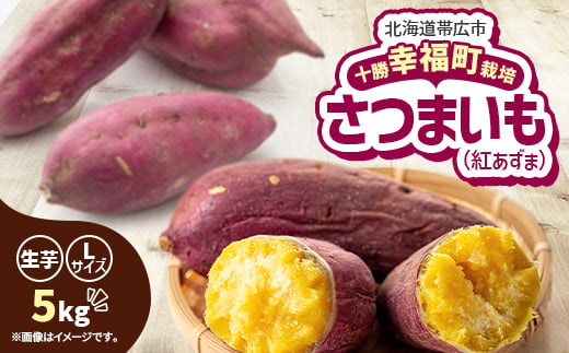 
                  ＜先行受付＞直送!十勝「幸福」さつまいも(紅あずま)Lサイズ5kg_さつまいも さつま芋 サツマイモ 紅あずま 根菜 十勝 とかち 幸福町 幸福駅 北海道 帯広市 送料無料【1490879】
                