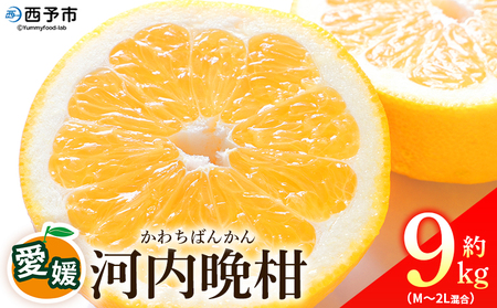 ＜愛媛県産 河内晩柑 約9kg（M～2L）＞ 柑橘 みかん フルーツ 和製グレープフルーツ ジューシー 初夏 旬 サイズ混合 西宇和 国産 さっぱり 甘い 農園オレンジとムラサキ 西予市【常温】『2026年4月～7月迄に順次出荷』MOM0006