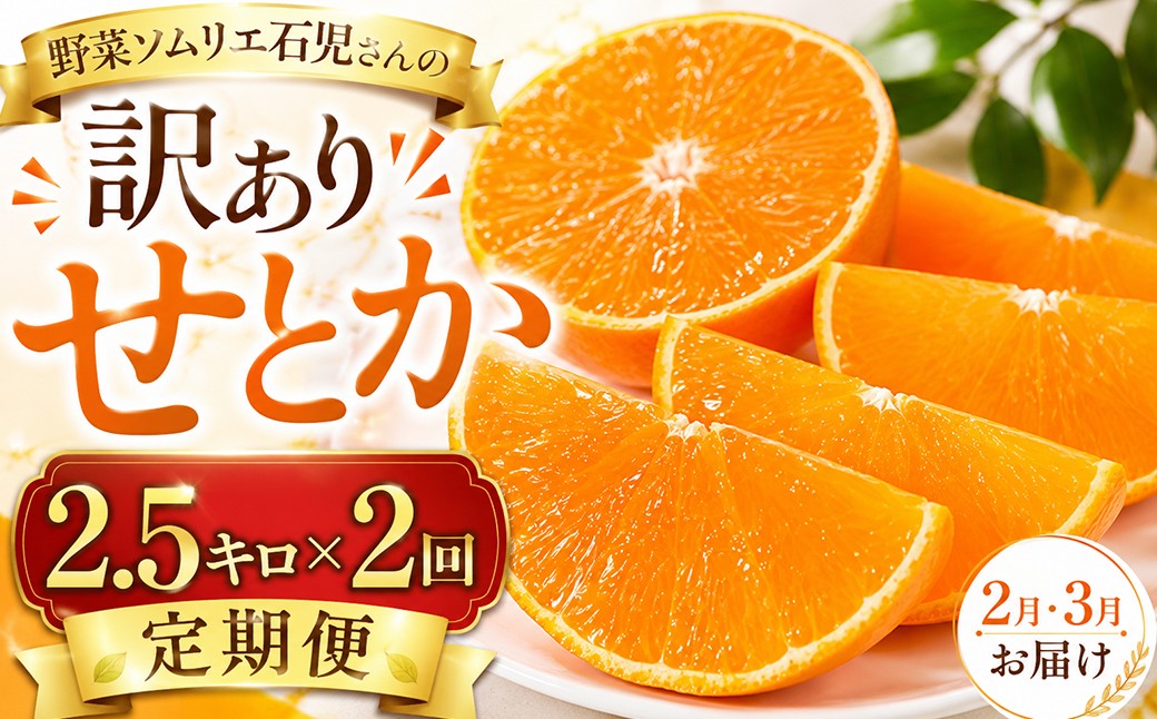 
                  【2027年先行予約】【訳あり・優品】野菜ソムリエ石児さんの訳ありせとか２回定期便（2.5キロ×2回）／ せとか みかん セトカ ミカン 蜜柑 柑橘 2.5kg 柑橘類 2.5キロ 訳あり ワケアリ フルーツ 先行予約 2回 頒布会 2月発送 3月発送 チョイス限定 ＜103-806＞
                