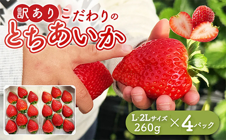 「訳あり」とちあいか 260g×4パック 1パック9粒〜11粒入り（Lまたは2Lサイズ） ※北海道・沖縄・離島への配送不可 ※2026年1月中旬～3月中旬頃に順次発送予定