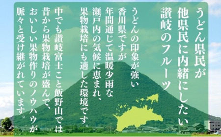 小原紅早生みかん 約1kg L~Sサイズ 常温 先行予約
