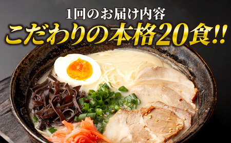【全3回定期便】久留米ラーメン 20食セット（福岡名物豚骨ラーメン）本格派こだわり半生めん《豊前市》【株式会社マル五】[VCL039] ラーメン ご当地ラーメン ラーメンセット ラーメン 拉麺 ラーメ