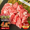 【ふるさと納税】【5ヶ月定期便】佐賀牛 贅沢 切り落とし 800g（合計4kg）(H085186)