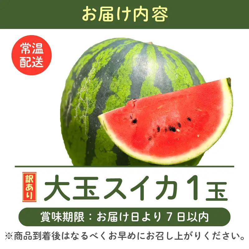 大玉スイカ 1玉 訳あり 羅皇 2027年7月中旬より順次発送 スイカ 果物 フルーツ [A-16514]