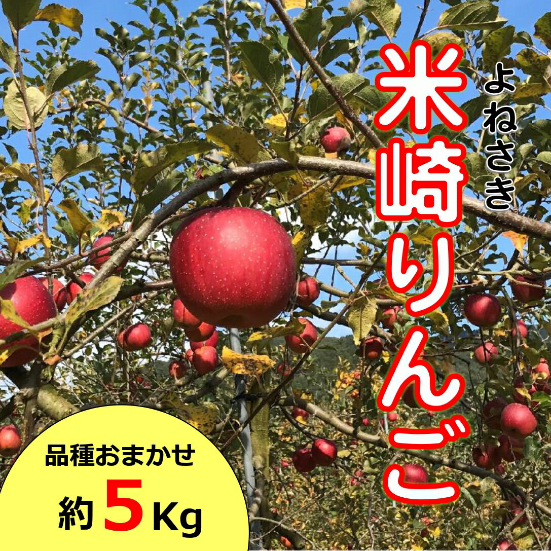 【ふるさと納税】りんご 5kg 品種 おまかせ 熊谷農園 米崎りんご【 数量限定 】旬 リンゴ 林檎 アップル フルーツ 果物 紅いわて 昴林 シナノスイート 陽光 王林 ふじ 岩手 陸前高田