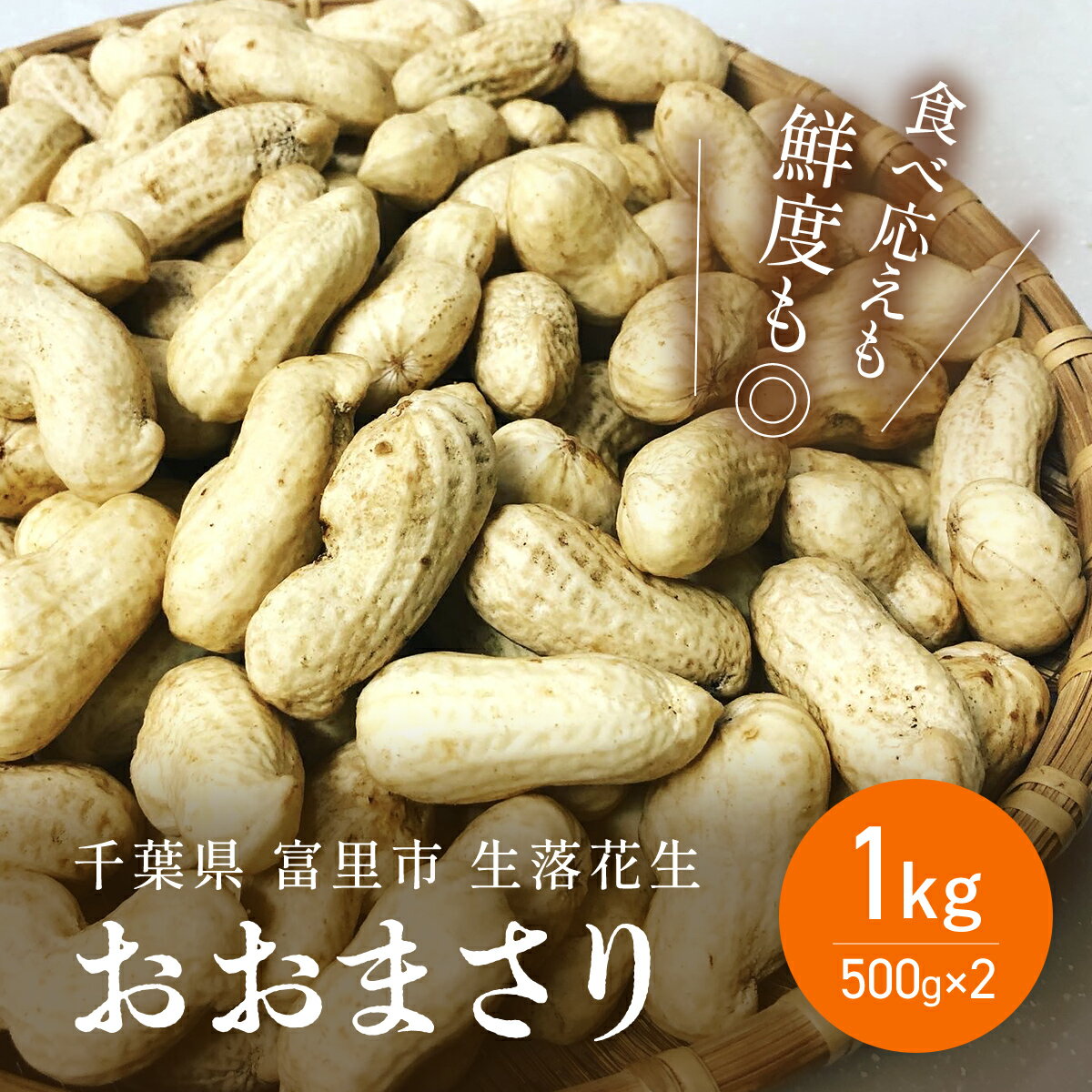 【ふるさと納税】【2025年8月下旬より発送予定！】富里産 生落花生「おおまさり」500g×2パック / 生落花生 生らっかせい 生ピーナッツ 生ピーナツ 落花生 らっかせい 千葉県 富里市 皮付き 殻付き ピーナッツ ピーナツ 南京豆 TME012