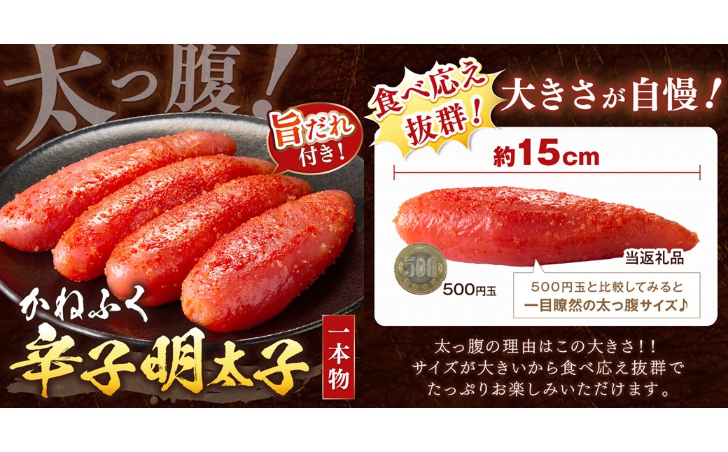 【A5-301】かねふく辛子明太子&デミソースのハンバーグ2種セット
