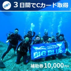 BIG BLUE　スキューバダイビング　PADI(Cカードライセンス) 免許取得補助券10,000円