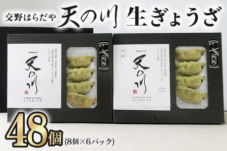 交野はらだや《天の川生ぎょうざ／48個》｜冷凍餃子 お取寄せ にんにく無し 旨味調味料保存料無添加 ヴィーガン 国産小麦使用 国産米粉使用 肉不使用 [0048]