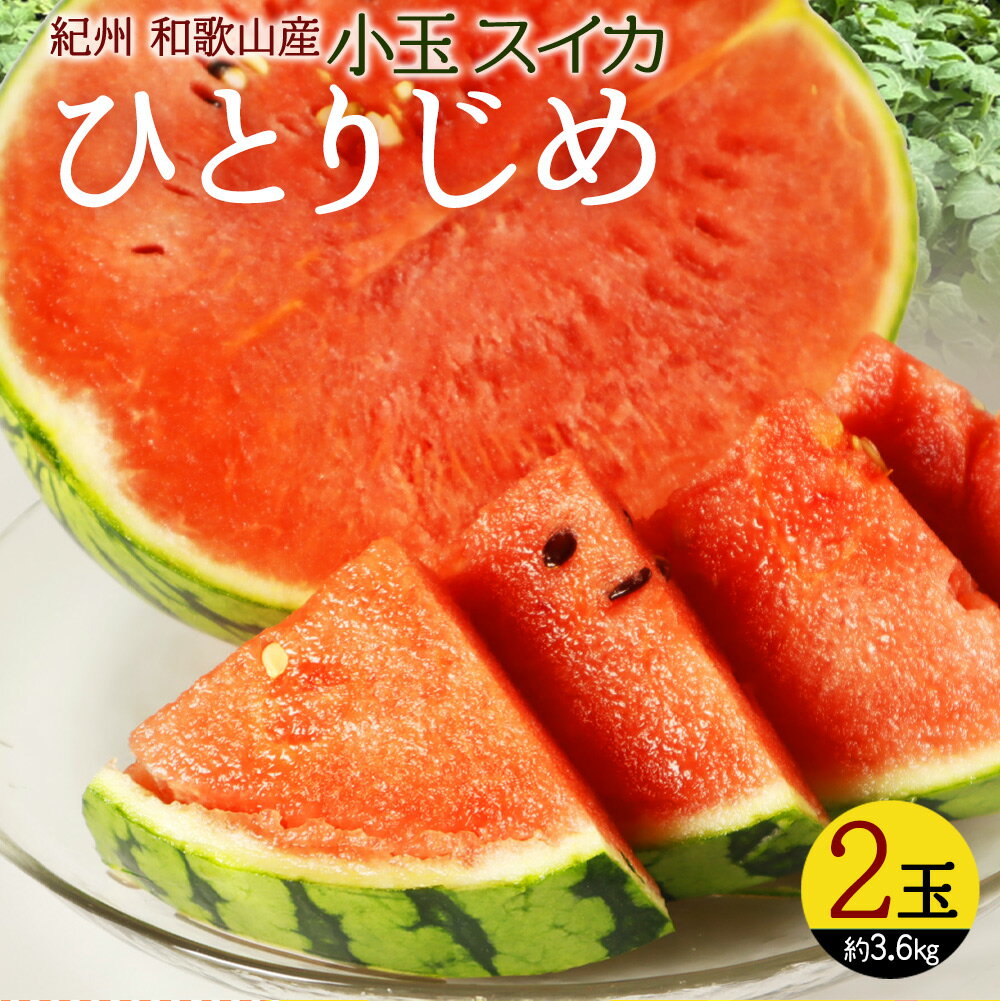 【ふるさと納税】 紀州和歌山産小玉スイカ「ひとりじめ」2玉【予約】※2025年6月上旬頃～6月下旬頃に順次発送予定(お届け日指定不可) スイカ すいか 果物