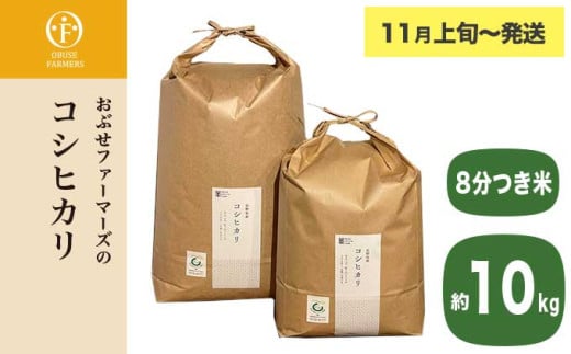 コシヒカリ 8分つき米  約10kg ［ おぶせファーマーズ ］ お米 コメ おこめ ご飯 精米 長野県産 【2025年11月上旬～発送】 ［FK-16］