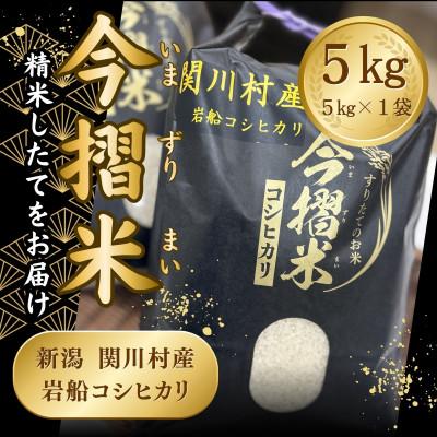 ふるさと納税 関川村 R7年産 関川村産 岩船コシヒカリ 今摺米 5kg(精米5kg×1袋)[JA北新潟]