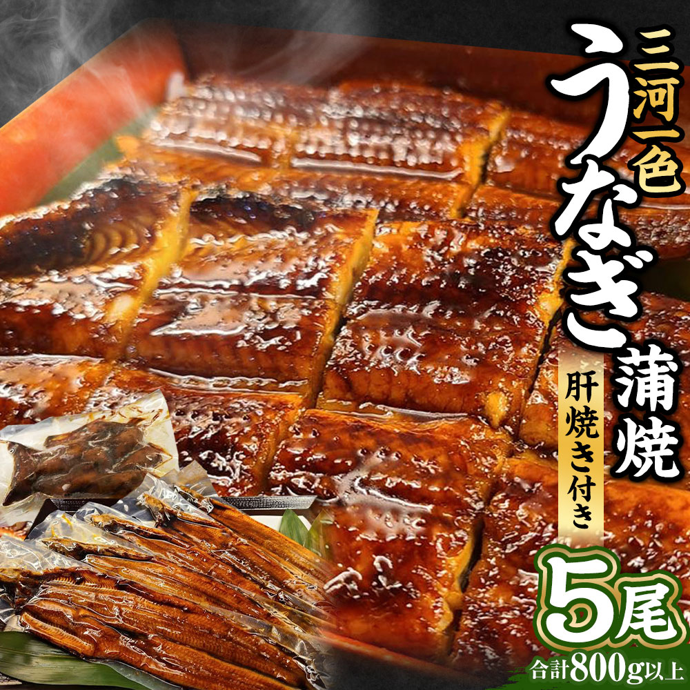 【ふるさと納税】三河一色産 うなぎ蒲焼き 大5尾 合計800g以上 三河一色産 うなぎ 鰻 ウナギ 蒲焼 蒲焼き 肝焼き 肝焼 冷凍 国産 愛知県産 送料無料