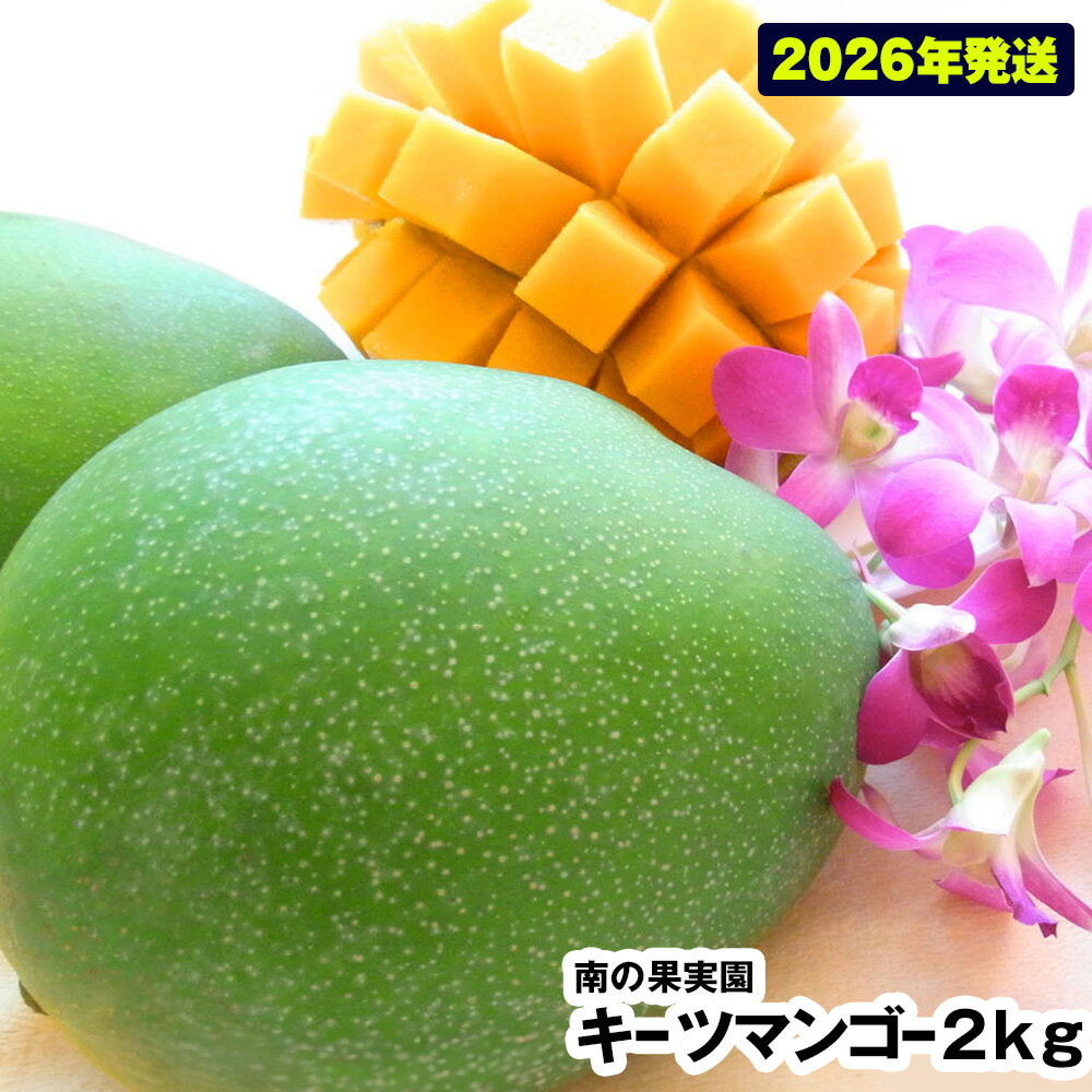【ふるさと納税】【2026年発送】南の果実園　キーツマンゴー2kg