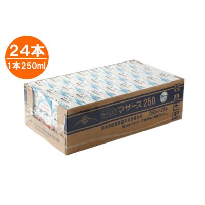 ふるさと納税 菊池市 PEERGURTプレーン250ml×24本 |  | 02