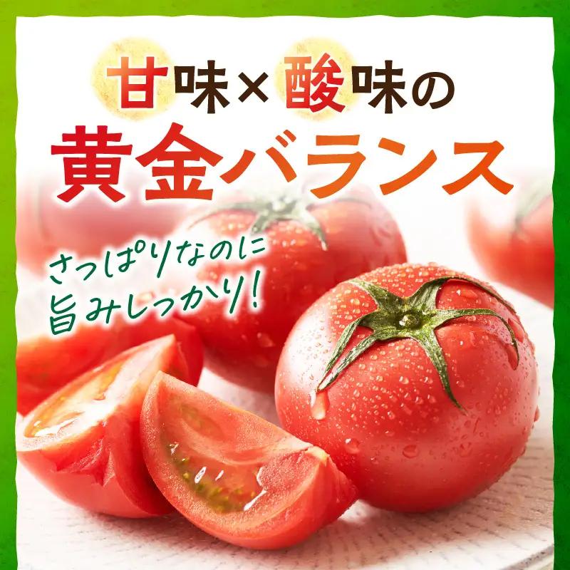 【トマト】京トマト 2kg（2026年5月中旬～発送）