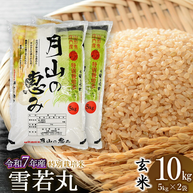 【ふるさと納税】【令和7年産先行予約】 特別栽培米 雪若丸［玄米］10kg (5kg×2袋)　2025年産 山形県鶴岡市産
