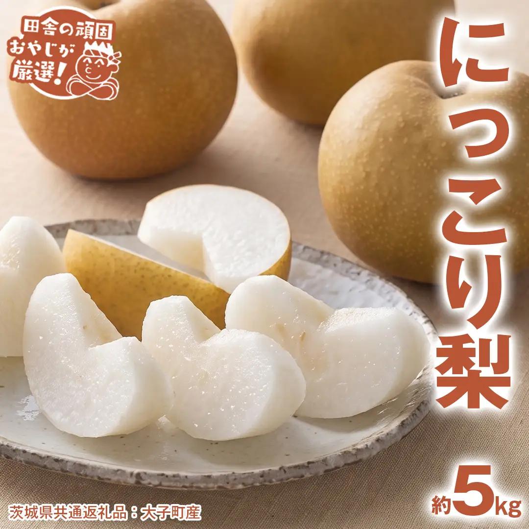 にっこり梨 約5kg 【2026年10月より発送開始】（茨城県共通返礼品 [梨]：大子町産） フルーツ 果物
