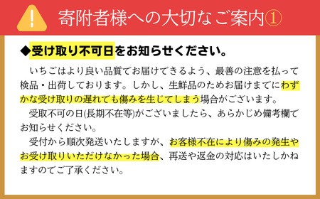 【先行予約】とちおとめ【2パック】まなこころ・葵（250g【15～20粒】） ｜ いちご 苺 朝摘み いちご 埼玉県 いちご 特産 いちご 東松山市産 いちご とちおとめ いちご  いちご 苺 朝摘み