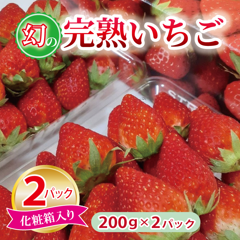 【特別規格】朝摘み完熟いちご 2パック【化粧箱入り 200g×2P 苺 イチゴ フルーツ 果物】 G1631