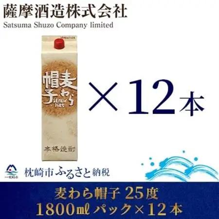 【熟成麦焼酎】「麦わら帽子」25度 1800ml パック 12本セット G5-3【1166646】