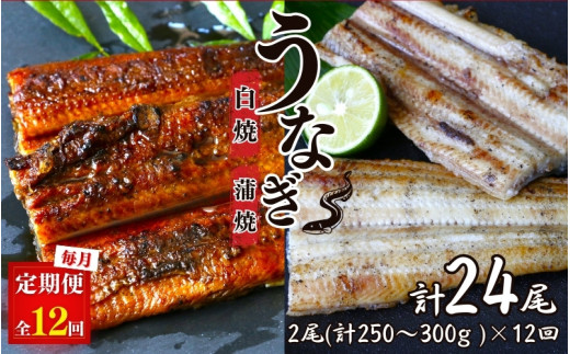 
【12カ月定期便】うなぎ蒲焼き、うなぎ白焼き　各1本セット×12回 / 和歌山 田辺 うなぎ 鰻 白焼き うな丼 うな重 国産 鰻丼 かば焼き
