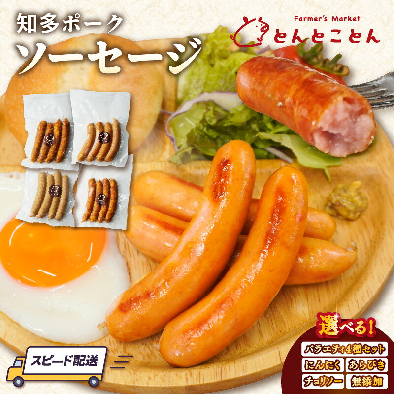 【ふるさと納税】知多ポーク ソーセージ 1パック4本入り【選べる内容：にんにく・あらびき・チョリソー・無添加・4種セット 詰め合わせ】《5パックまたは4パック》ソーセージ ウインナー 豚肉 惣菜 ソーセージ 無添加 粗挽きウィンナー BBQ 真空パック 冷凍便 送料無料