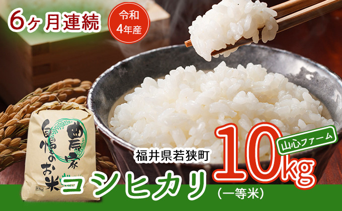 
【6ヶ月連続】令和4年産福井県若狭町コシヒカリ（一等米）10kg（山心ファーム） [№5580-0542]
