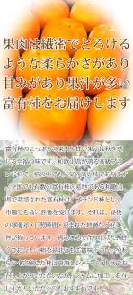 【ご家庭用わけあり】和歌山秋の味覚　富有柿　約3.5kg　※2024年11月上旬頃～11月下旬頃に順次発送予定