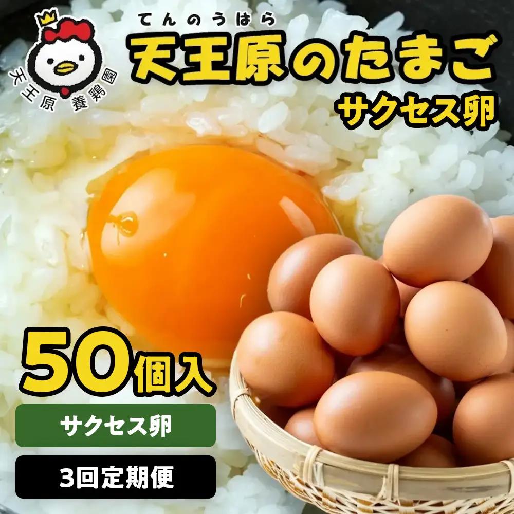 【定期便】３回定期 【天王原のたまご】 サクセス卵 50個入り