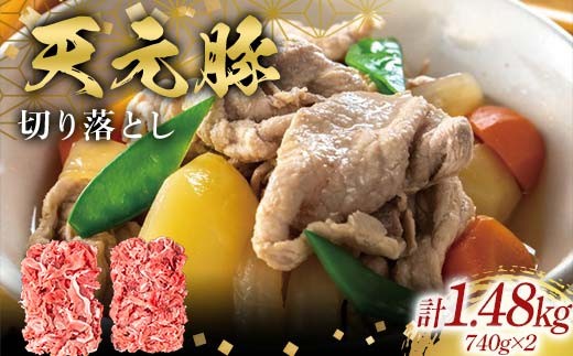 
            天元豚切り落とし740g×2 F2Y-6584
          