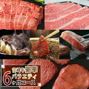 【ふるさと納税】【定期便】宮崎牛豪華バラエティ6ヶ月コース 合計4.6kg 牛肉 冷凍 内閣総理大臣賞受賞 宮崎県産 九州産 送料無料