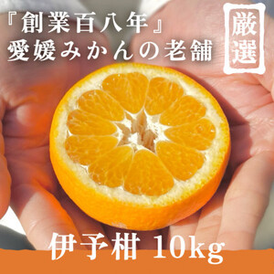 創業百八年 愛媛みかんの老舗【伊予柑10kg】【新口農園】【D70-13】【1470714】