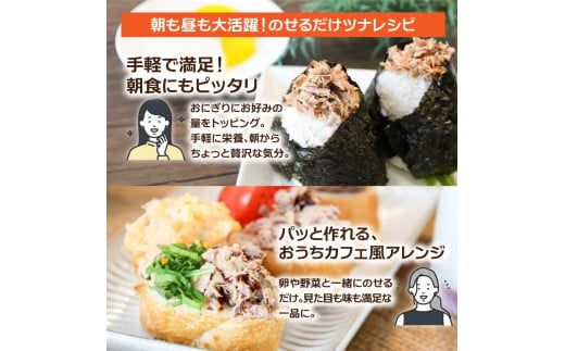 カツオのオイル漬け 12P 1パック100g かつお 鰹 パウチ 常温保存 油漬 パスタ サラダ おにぎり 防災 非常食 長持ち 備蓄 キャンプ アウトドア ふるさと納税 加工品 高知 田野町