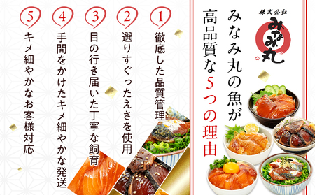 【 漬け丼 】 漬け丼 5種類