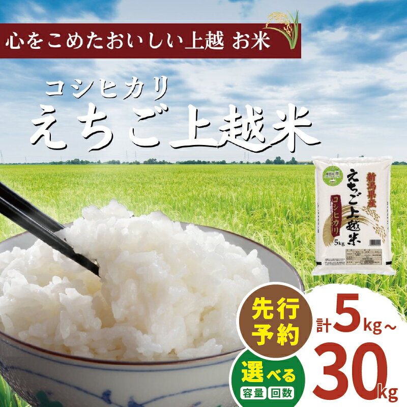 【ふるさと納税】【先行予約】令和7年 新米 新潟県産コシヒカリ えちご上越米 容量と回数が選べる 新潟 米 新潟県 こしひかり 限定 おすすめ　お届け：2025年10月上旬～