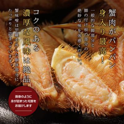 ふるさと納税 稚内市 【ボイル済み急速冷凍】身がパンパンに詰まった稚内産毛ガニ800g〜1kg(超大サイズ)×1尾 |  | 02