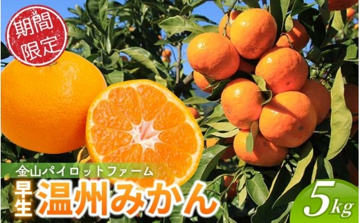 【北海道専用】みかん 金山パイロットファーム 温州みかん 5㎏ (早生) みかん ミカン 温州みかん 早生みかん 早生温州 フルーツ 果物 くだもの 柑橘 産地直送 数量限定 人気 国産 三重県 熊野市【2026年11月から12月末までに順次発送】【knpr0014A-HK】