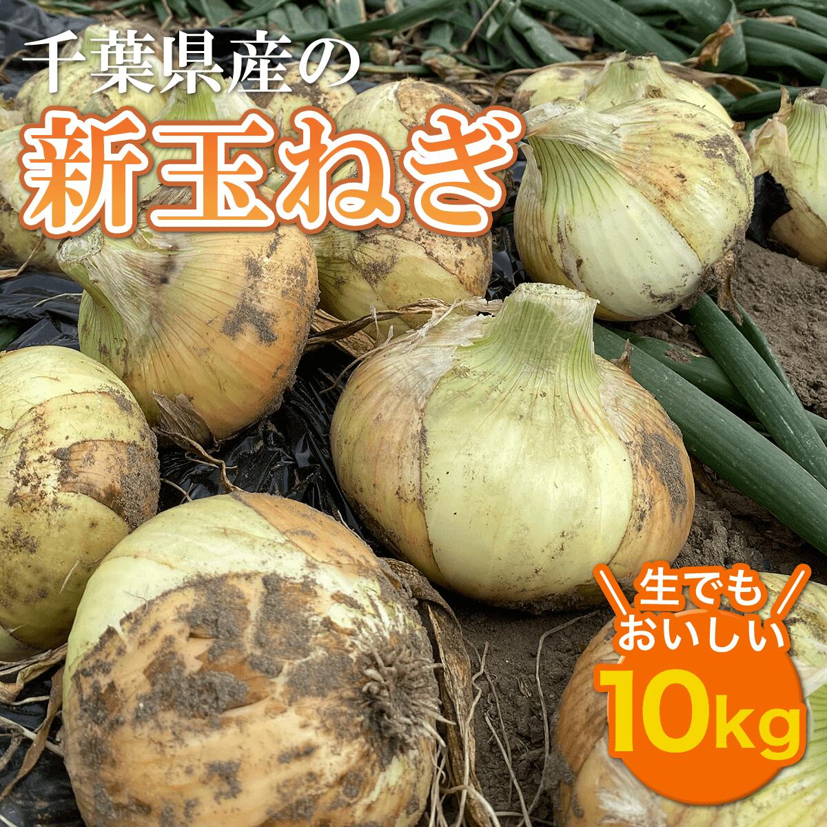 【ふるさと納税】【令和7年5月上旬から順次発送】千葉県産 新玉ねぎ10kg 生でもおいしい！ 玉ネギ たまねぎ タマネギ 玉葱 新玉ねぎ 新玉 10キロ 野菜 千葉県 大網白里市 送料無料 AD001