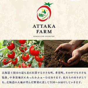 かぼちゃ 夢浪漫 6玉 9kg 先行予約 北海道 士別産 2026年9月上旬以降発送予定 【あったかふぁーむ】 B7147