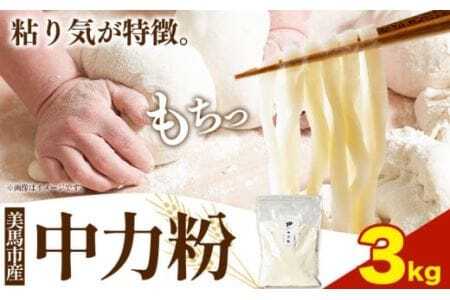 中力粉 3kg 麺 調味料