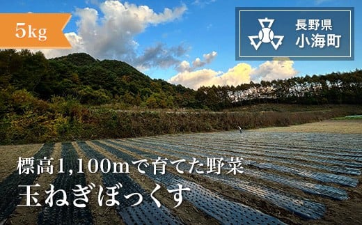 
            あとくら農園 玉ねぎぼっくす５kg| 野菜 新鮮 旬 玉ねぎ 【 2026年発送 先行予約 】
          