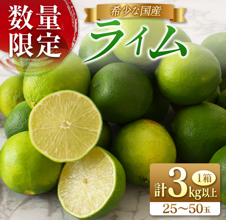 先行予約 皮まで使える ライム 計3kg以上 希少 国産ライム 果物 くだもの フルーツ 柑橘 期間限定 数量限定 おすすめ ジュース 飲み物 サラダ 調味料 焼肉 バーベキュー 食品_AV2-25