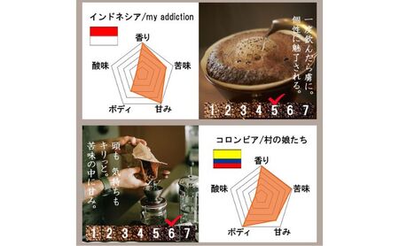 スペシャルティコーヒー6ヵ国　ワールドトラベルセット コーヒー（豆）