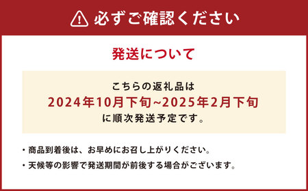 【規格外品】 みかん ご家庭用 15kg サイズ不選別 家庭用 不揃い サイズ不選別 訳あり 蜜柑 ミカン フルーツ 果物 柑橘 熊本産 九州産【2024年10月下旬～2025年2月下旬発送開始】