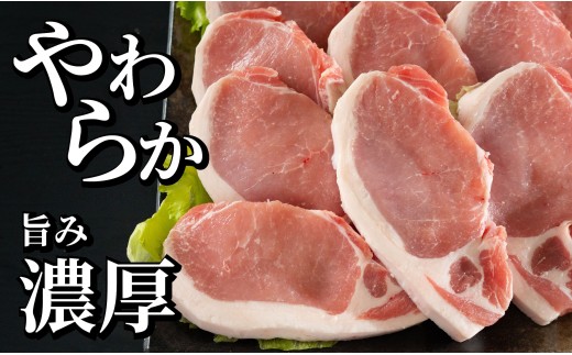 [B612］ 《定期便》長崎県産豚 ロースとんかつ用計1kg(100g×5枚×2) 【12回お届け】