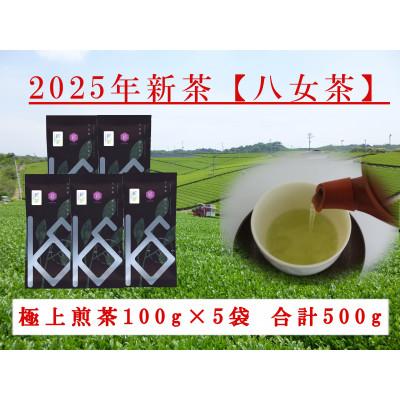 ふるさと納税 八女市 八女茶 新茶極上煎茶 100g×5袋