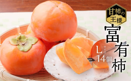 [先行予約／令和7年産]《柿の王様》加藤果樹園の富有柿 Lサイズ 14個入り 11月下旬～12月上旬発送予定 [mt025]  柿 かき カキ フルーツ 果物 くだもの