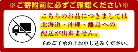 ＜先行予約受付中！2024年8月上旬から順次発送予定＞シャインマスカット 加温栽培(約1kg)シャインマスカット ぶどう 葡萄 フルーツ 果物 くだもの 果実【106300300】【大分県農業協同組合