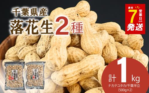 ＼最短7営業日以内発送／  千葉県産 落花生 2種セット 1kg 千葉半立 ナカテユタカ 各500g 千葉 落花生  らっかせい ピーナツ ピーナッツ おつまみ おすすめ 人気 健康 千葉  千葉県産 旭市産 国産  菓子 ギフト 千葉県 旭市 株式会社ヤマハン ymh006
